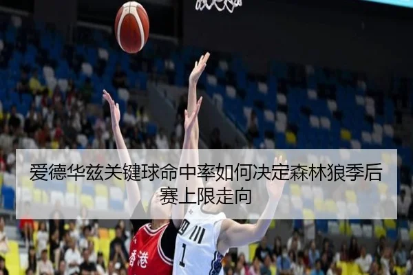爱德华兹关键球命中率如何决定森林狼季后赛上限走向
